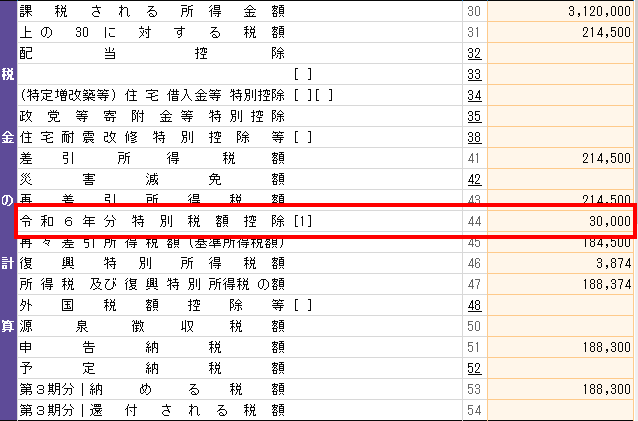 定額減税確認